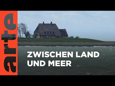 Die Halligen im Wattenmeer | Reupload | ARTE Family