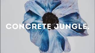 AuRa - Concrete Jungle (Empire 1 Remix)