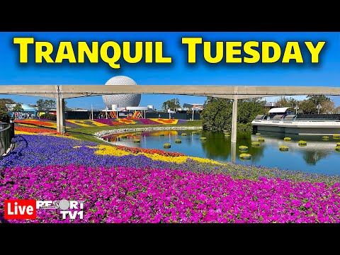 🔴Live: Tranquil Tuesday at Epcot - Relax with us at Walt Disney World - Live Stream - 4-9-24