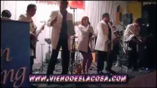 LATIN SWING 2025 - MIX DE SELENA