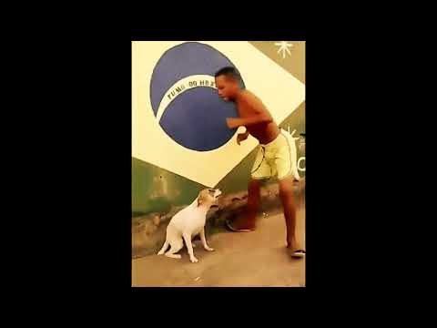 SEQUENCIA DO EMPURRA E TOMA - DJ ZRX ( BRAZILIAN FUNK )        (slowed + reverb)