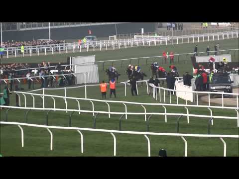 Lord Windermere winning the 2014 Cheltenham Gold Cup