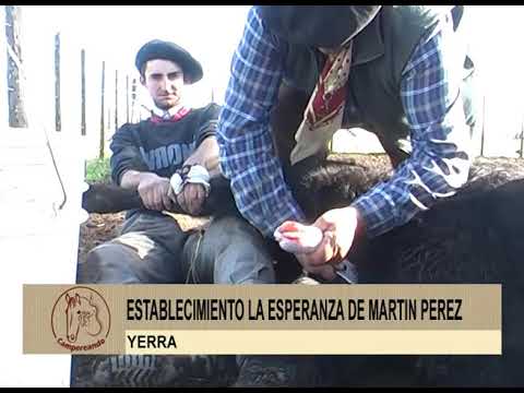 2 YERRA EN ESTABLECIMIENTO LA ESPERANZA DE MARTIN PEREZ