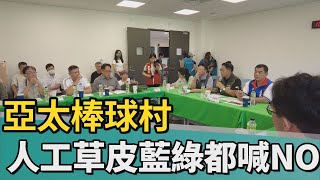 [閒聊]亞太棒球場讓藍綠大團結