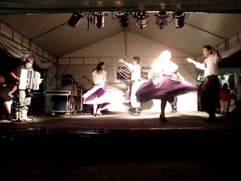 Tatu de Castanhola - Marca do Sul - Rio Mundi 2010