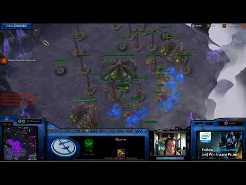 IdrA on moral victories as Zerg