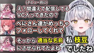 【APEX】あかりんのデビュー前のやらかしに笑う銀城サイネ【銀城サイネ/夢野あかり/花芽なずなぶいすぽ/切り抜き】