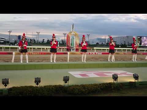 2018.12.31東京トゥインクルファンファーレ大井競馬場10R　東京2歳優駿牝馬