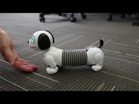 🐶 Robothund för barn. Silverlit Robo Dackel JR 🐶