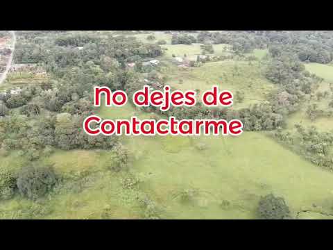 Imagen de Venta de Lotes y Terrenos en Alegría - Siquirres Alegría - LIMÓN