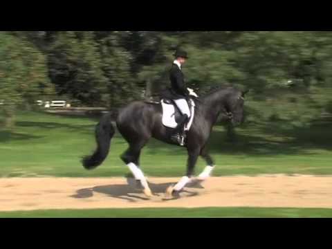 Sarkozy (by Sandro Hit) - 2011 PSI Auction