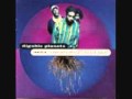 Digable Planets-Time & Space