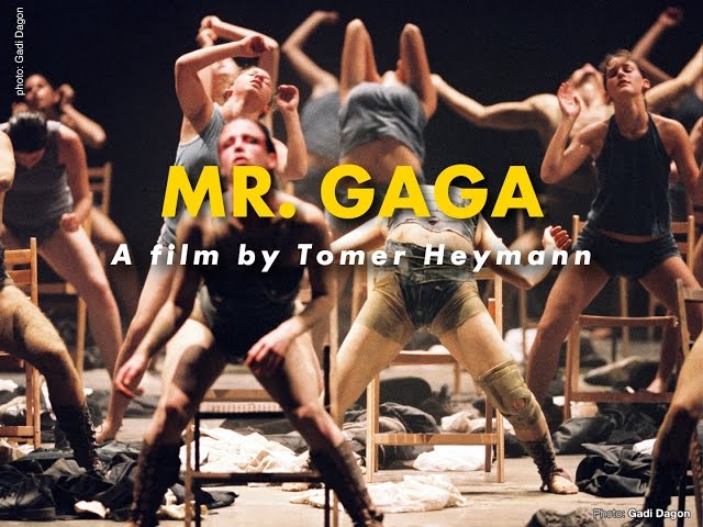 Mr. Gaga
