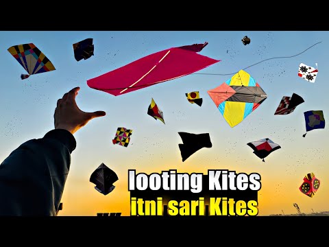 Looting Catching Kites From Roftop 🤩Others Kites Catching Tricks ! kite Catching Video !
