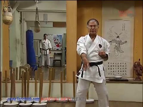 Kata Tensho Goju-Ryu