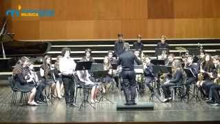 Ensemble de Sopros e Percussão - Concertino para Clarinete - C.M. von Weber