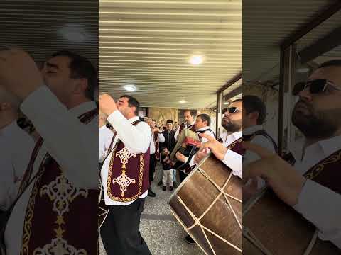 Vedi Band