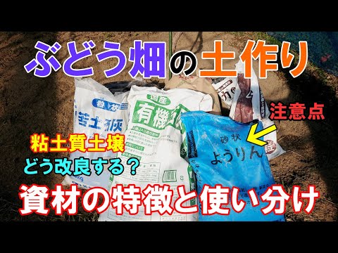 果樹の庭に最適なマルチは何ですか 木をマルチングする方法