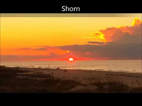 SHORN - Lyric Video