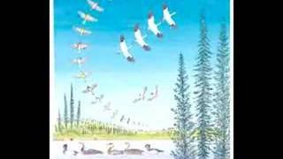 Lene Lovich: Bird Song