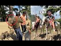 Mamu Or Waleed Ki Horse Race Lag Gai Monkey Ny Attack Kr Dea