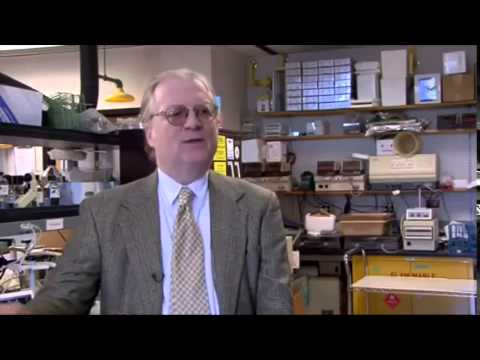 Amazing Science   Internal Time Keeper  How the Biological Clock works