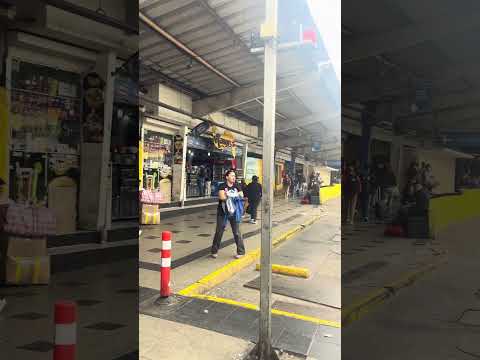 Terminal Sur , queda en Estación Central. (Metro universidad de Santiago)