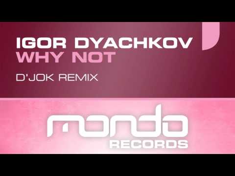 Igor Dyachkov - Why Not (D'jok Remix) [Mondo Records]