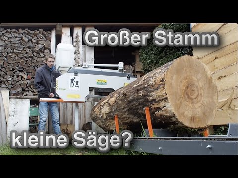 XXL Eschen Stamm Sägen 🌲Sägewerk im Vorgarten???