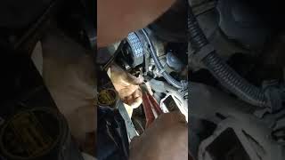 Ford Courier PD Timing belt change
