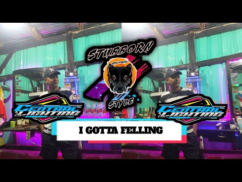 DJ I GOTTA FELLING (CENTRAL LIGHTING)