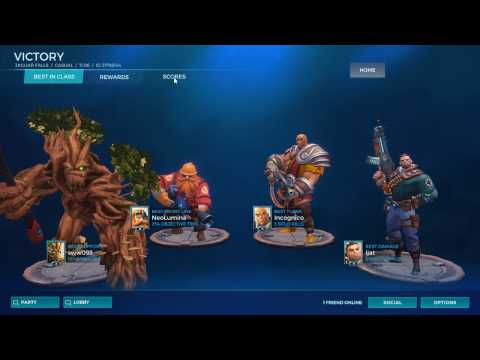 paladin Viktor Damage + Flank and best damage