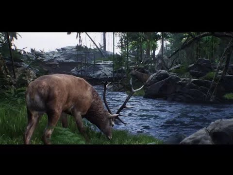 ☑️ Tropical Forest (Speed Level Design / Unreal Engine 4)