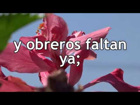 9  HA62   Himno 443   Cristo está buscando obreros