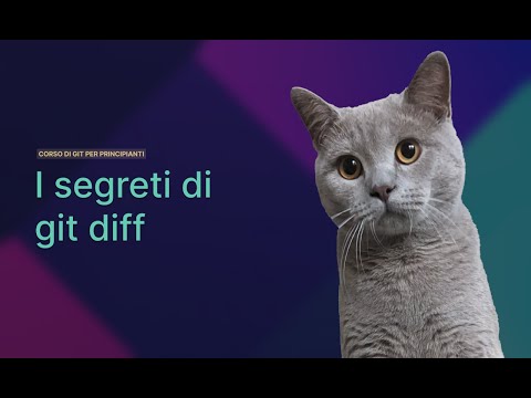 Il comando git diff in Git | Lezione 19