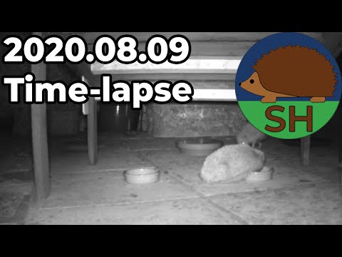 Somerset Hedgehogs 2020.08.09 Time-lapse