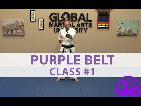 Shotokan – 4th Kyu Purple – Class 1 thumbnail