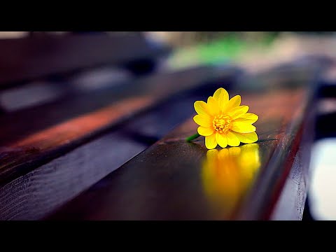 MILAN TOPIĆ - KAO CVET |Duhovna muzika|