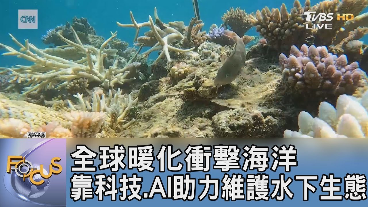 全球暖化衝擊　海洋靠科技、AI助力維護水下生態