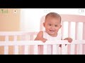 VTech BM5250 Video Baby Monitor