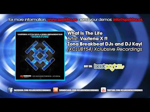 Vazteria X ft Zona Breakbeat DJs and DJ Kayl - What Is The Life