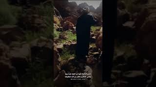 بعد ماهوى نجم