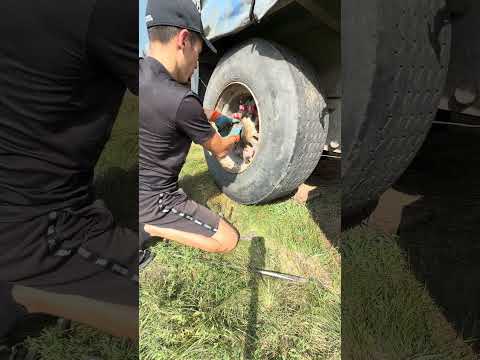 Вот такая очередная телега😅Состояние в целом приятно радует. #блогер #автоблог #automobile #ремонт