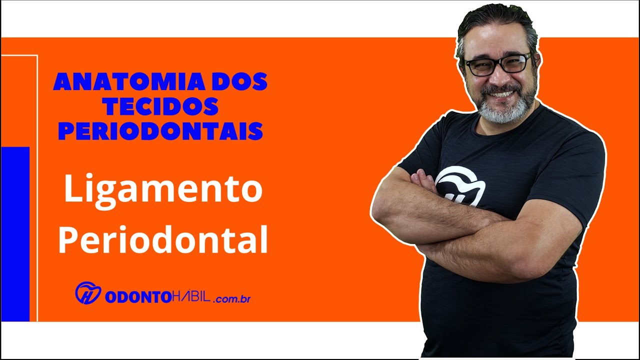 Ligamento periodontal (Anatomia dos tecidos periodontais)