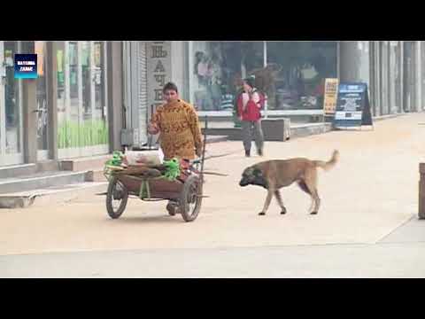 Smed.Palanka - Novogodisnje  jutro u centru Palanke 1.1.2018