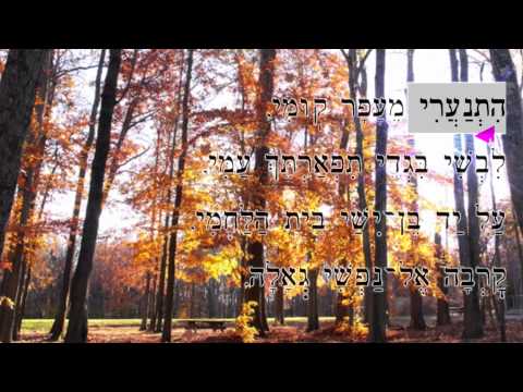 L'cha Dodi (Chassidic Bensoussan) לכה דודי