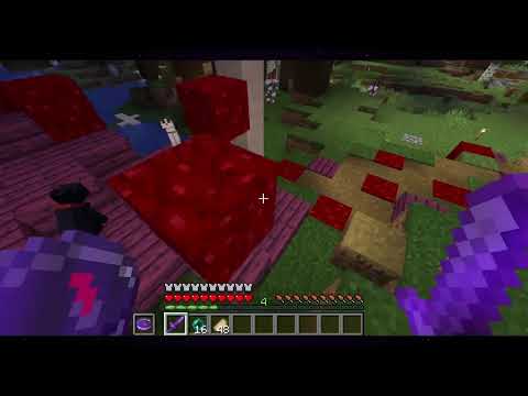 Memory Lane || Leviathan SMP