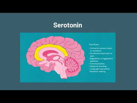 Nutrients for Mental Health: How to Make More Dopamine, Serotonin and Gaba