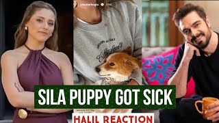 Sila Turkoglu Puppy Gor Sick !Halil Ibrahim Ceyhan Reaction
