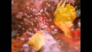 blancmange..day before you came